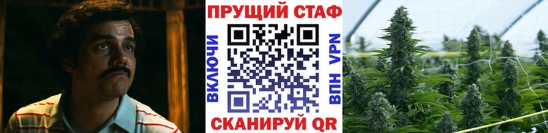 Где купить наркоту Гатчина COCAIN  Канабис  А ПВП  Метамфетамин  Меф  ГАШ 