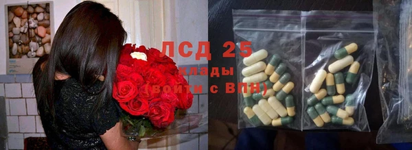 дживик Бронницы