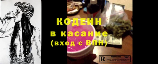 дживик Бронницы