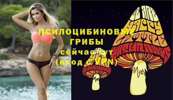 дживик Бронницы
