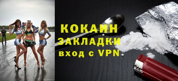 дживик Бронницы