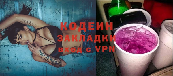 дживик Бронницы