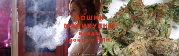 дживик Бронницы