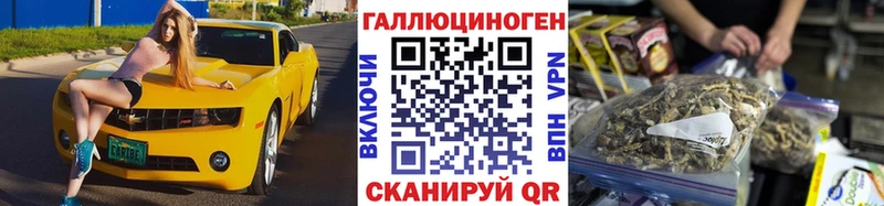 купить   mega ТОР  Галлюциногенные грибы Psilocybe  Гатчина 